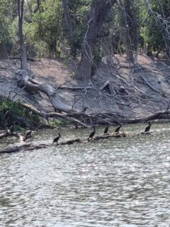 KopackiRit-Naturpark-©Detlef-Düring-11 KopackiRit Naturpark ©Detlef Duering 11