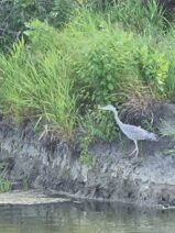 KopackiRit-Naturpark-©Detlef-Düring-16 KopackiRit Naturpark ©Detlef Duering 16