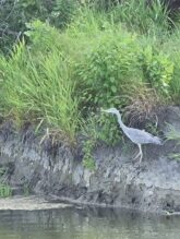 KopackiRit-Naturpark-©Detlef-Düring-16 KopackiRit Naturpark ©Detlef Duering 16