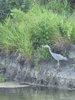 KopackiRit-Naturpark-©Detlef-Düring-16 KopackiRit Naturpark ©Detlef Duering 16