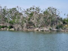 KopackiRit-Naturpark-©Detlef-Düring-20 KopackiRit Naturpark ©Detlef Duering 20 2