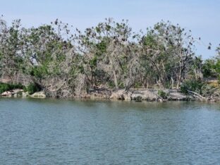 KopackiRit-Naturpark-©Detlef-Düring-20 KopackiRit Naturpark ©Detlef Duering 20
