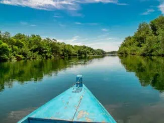 Mangroves ©INGUAT