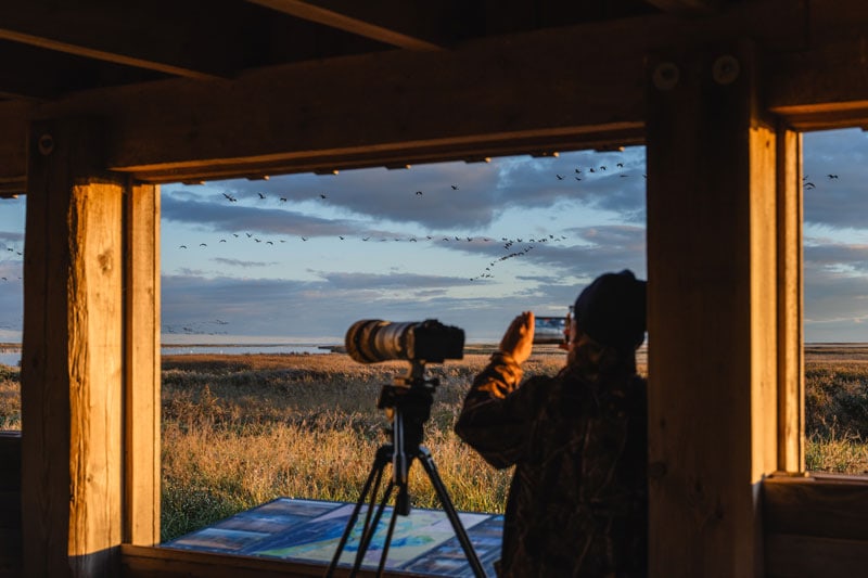 Naturfotografie ©TMVGross