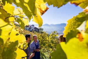 Roter-Hahn-Weinbauern-©Roter-Hahn-Frieder-Blickle