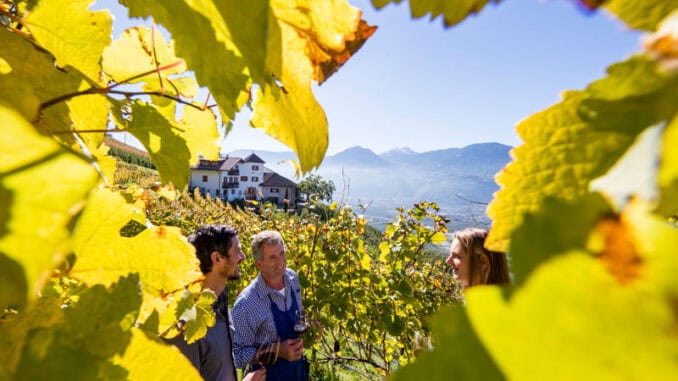 Roter Hahn Weinbauern ©Roter Hahn Frieder Blickle