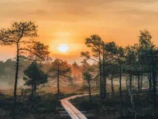 Selisoo Nature Trail ©Visit Estonia