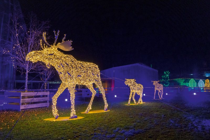 Imposante Elche © CAVALLUNA