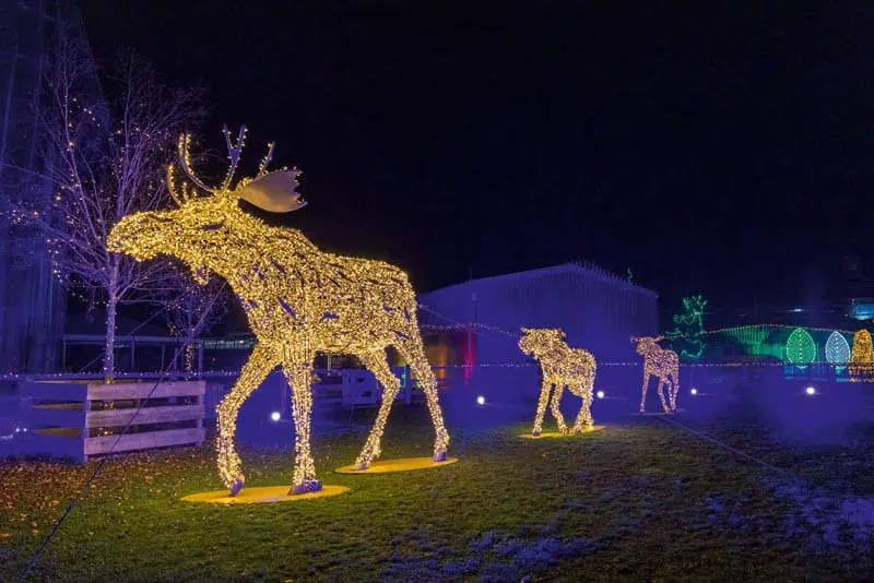 Imposante Elche © CAVALLUNA