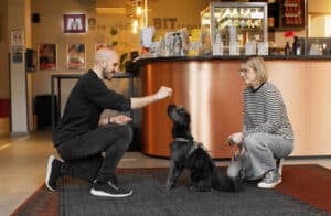 Dog-Friendly-MEININGER-Hotels-