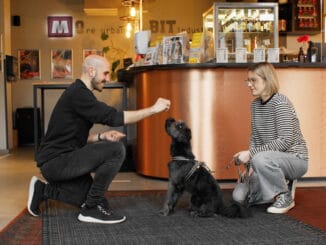 Dog Friendly MEININGER Hotels