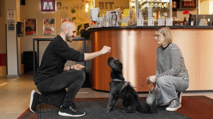 Dog Friendly MEININGER Hotels