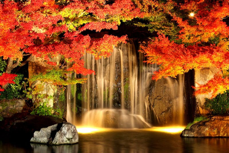 Kokoen Garten neben der Burg Himeji © Setouchi DMO