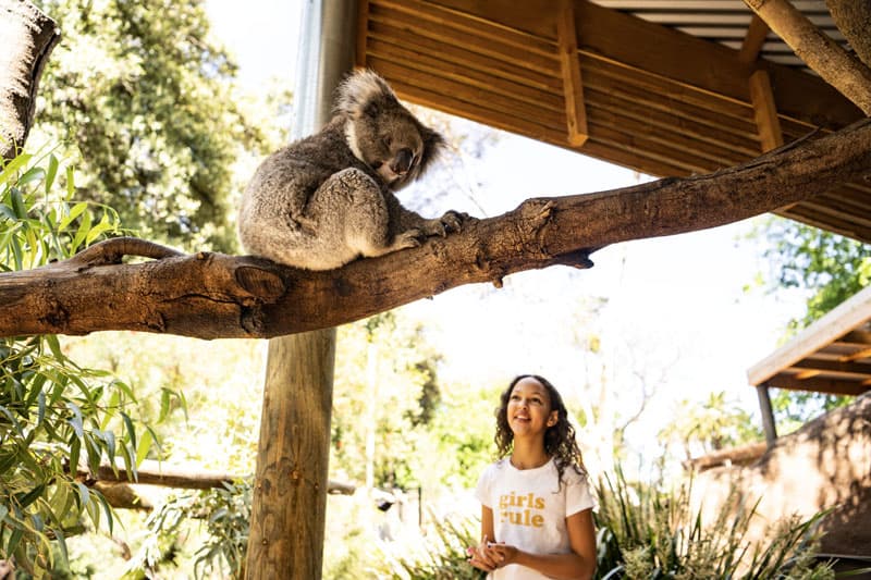 Adelaide Zoo ©Tourism Australia South Australian Tourism Commission