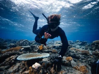 Fiji Korallenpflanzer ©Killian Domingo for Coral Gardeners