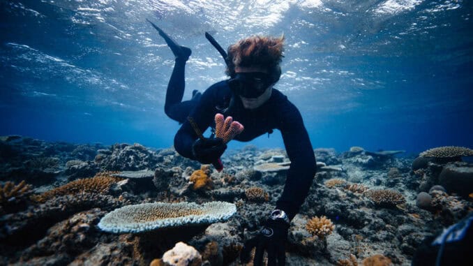 Fiji Korallenpflanzer ©Killian Domingo for Coral Gardeners