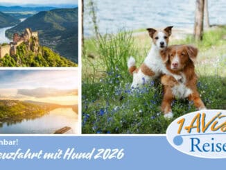 Flusskreuzfahrt mit Hund