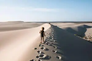 Seelöwen statt Streichelzoo in Südaustralien Fowlers-Bay-Cobservation-Park-©Naomi-Mackie-@boys_run_free