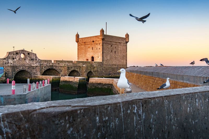 ©Fremdenverkehrsamt Marokko Essaouira 05
