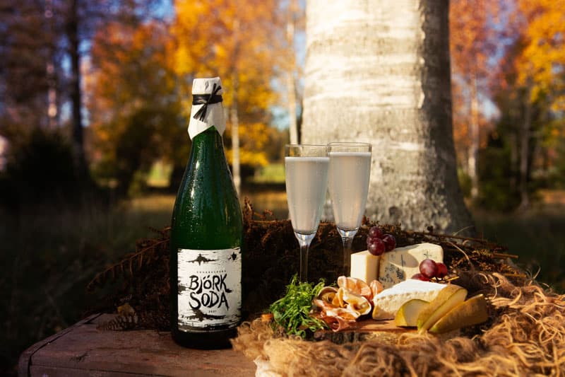 Bjorksoda ©Mattias Bokinge