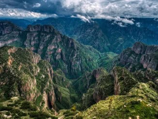 Chihuahua Copper canyon
