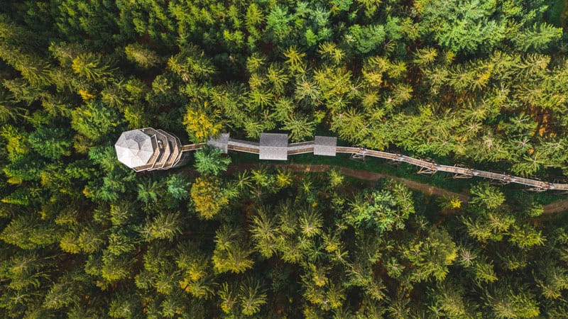 WaldEntdeckerWelt Baumkronenweg