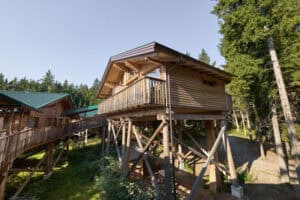Die neue WaldEntdeckerWelt im Innviertel WaldEntdeckerWelt-SolidBold
