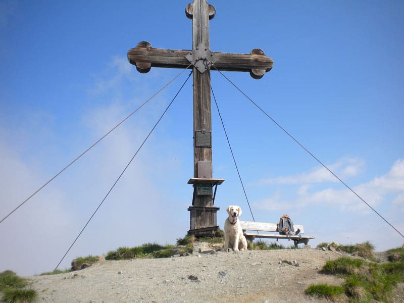 Wiedersbergerhorn ©Naturapartments AlpbachManuela Egger Moser