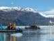 Antarctica Cruises ©Francisco Andreas