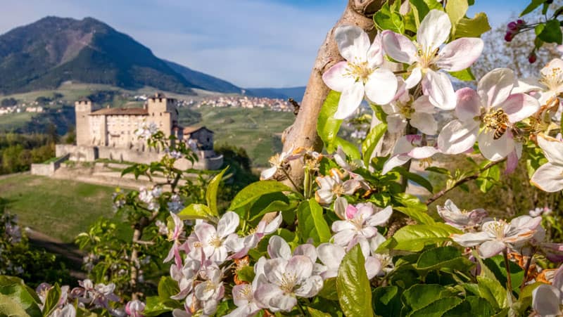 Val di Non Castel Cles ©Paolo Crocetta