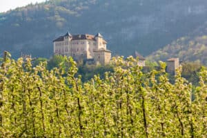 ValdiNon-VigodiTon-CastelThun©FabioStaropoli
