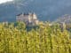 ValdiNon VigodiTon CastelThun©FabioStaropoli