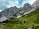 WilderKaiser Kaiserbluete Stein ©MathaeusGartner
