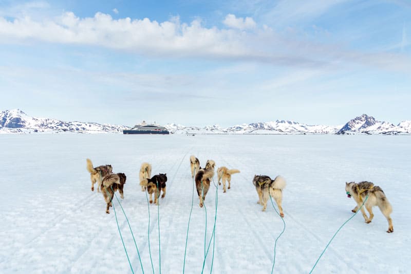 Groenland Schlittenhunde ©StudioPonant Thibault Garnier