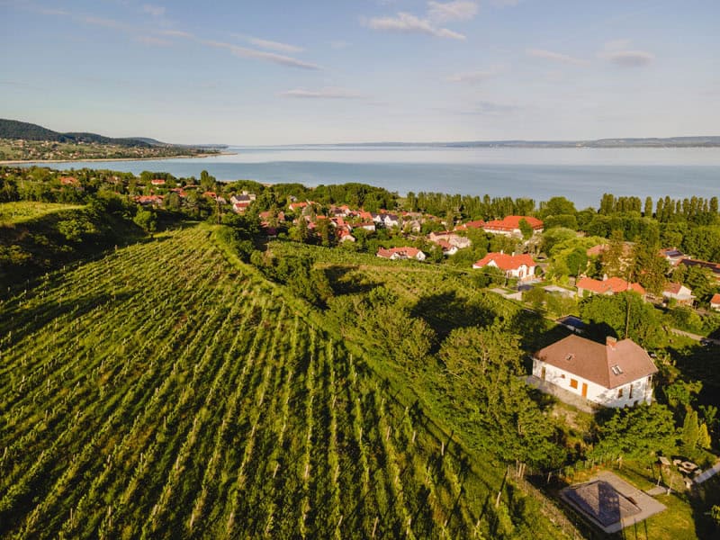 Badacsony Pincesz © Visit Hungary