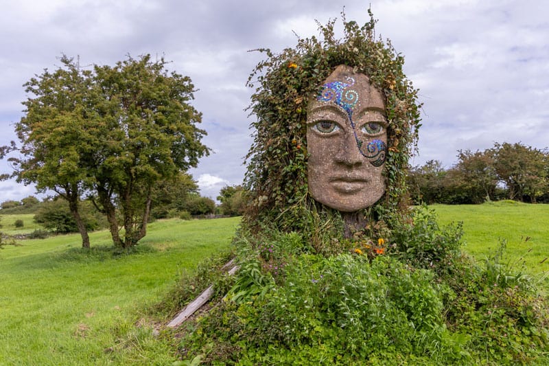Eriu Hill of Uisneach Co Westmeath ©Hill Uisneach LTD