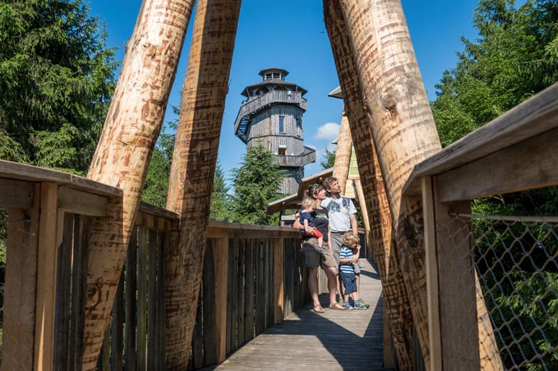 WaldEntdeckerWelt im Innviertel Baumwipfelweg