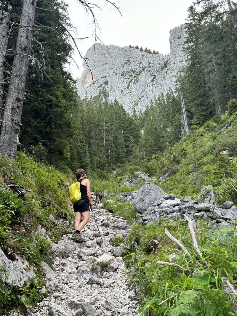 Wandern mit Hund im Allgaeu ©Tara Hartmann