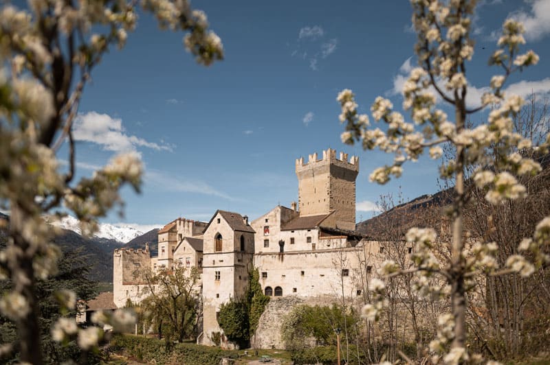 ©Vinschgau Marketing Patrick Schwienbacher Fruehling