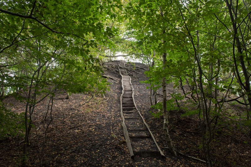 Bergehalde Kleiner Fuji im Urwald ©Klaus Peter Kappest