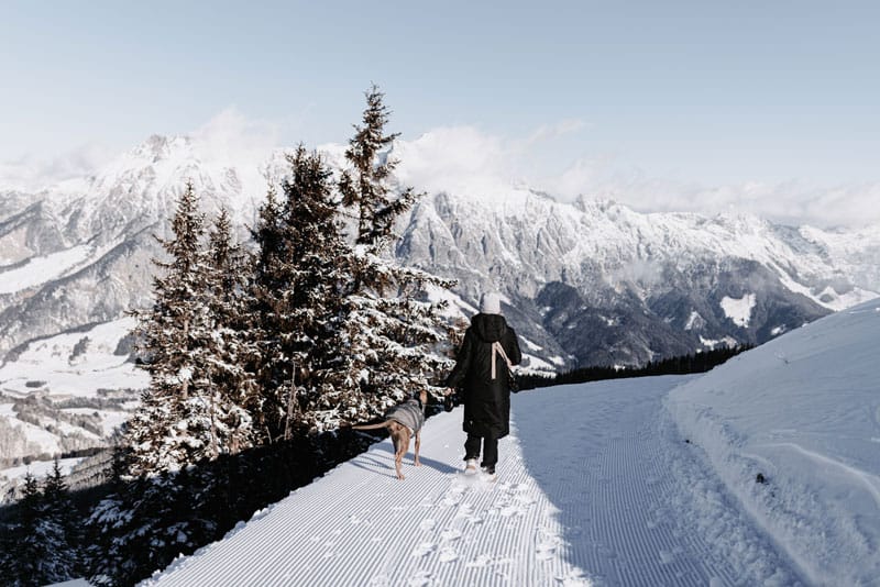Gassirunde im Schnee ©Hotel Der Loewe