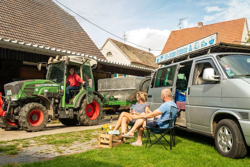 Guntersblum Reisemobilstellplatz Weingut Burghof Oswald ©Dominik Ketz