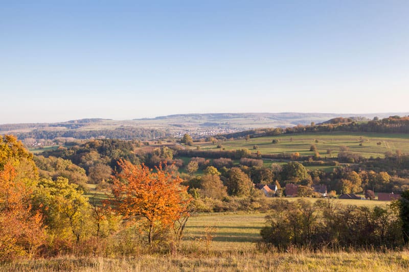 Indian Summer im Saarland ©Eike Dubois