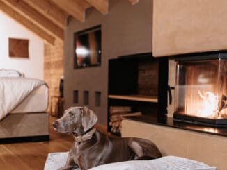 Urlaub mit Hund ©Hotel Der Loewe