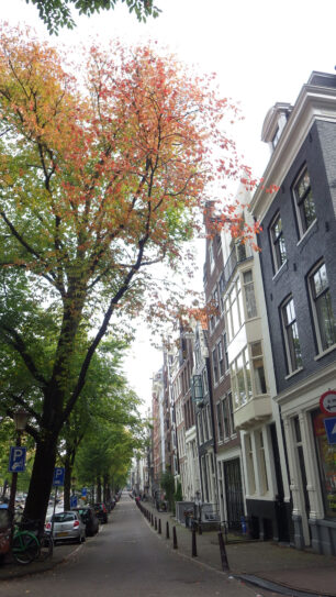 Amsterdam c Duering 081