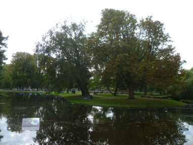 Amsterdam-c-Duering-201 Amsterdam c Duering 201